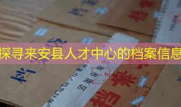 探寻来安县人才中心的档案信息