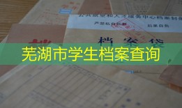 芜湖市学生档案查询
