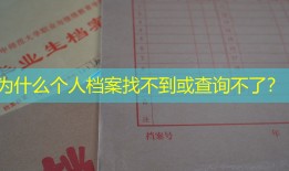 为什么个人档案找不到或查询不了？