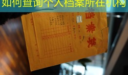 如何查询个人档案所在机构