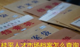 桂平人才市场档案怎么查询