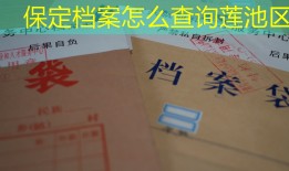 保定档案怎么查询莲池区