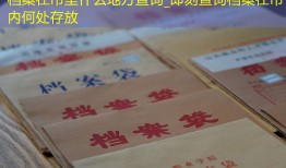 档案在市里什么地方查询_即刻查询档案在市内何处存放