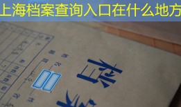 上海档案查询入口在什么地方