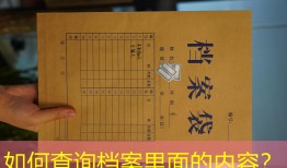 如何查询档案里面的内容？