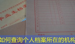 如何查询个人档案所在的机构