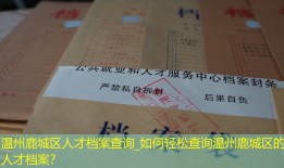 温州鹿城区人才档案查询_如何轻松查询温州鹿城区的人才档案？