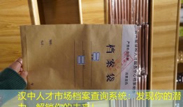 汉中人才市场档案查询系统：发现你的潜力，解锁你的未来！