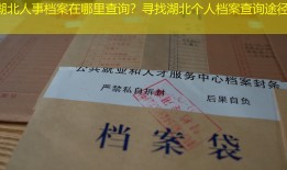 湖北人事档案在哪里查询？寻找湖北个人档案查询途径