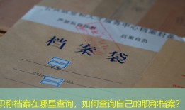 职称档案在哪里查询，如何查询自己的职称档案？