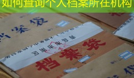 如何查询个人档案所在机构
