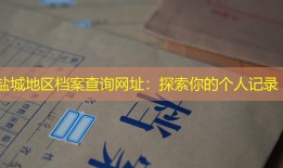 盐城地区档案查询网址：探索你的个人记录