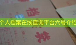 个人档案在线查询平台六号介绍
