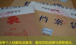 高考个人档案电话查询：查阅您的成绩与录取情况。