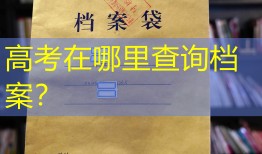 高考在哪里查询档案？