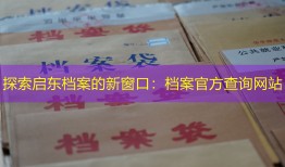探索启东档案的新窗口：档案官方查询网站
