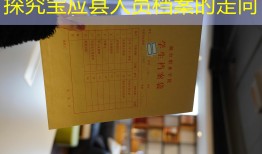 探究宝应县人员档案的走向