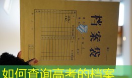 如何查询高考的档案