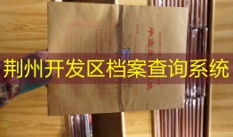 荆州开发区档案查询系统