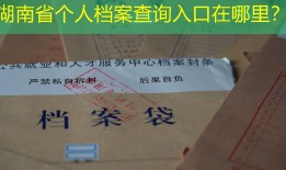 湖南省个人档案查询入口在哪里？