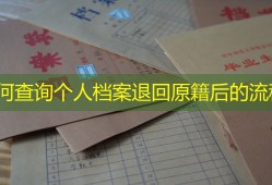 如何查询个人档案退回原籍后的流程
