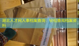 湖北人才网人事档案查询：轻松查阅档案资料