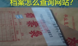 档案怎么查询网站？
