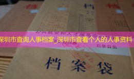 深圳市查询人事档案_深圳市查看个人的人事资料
