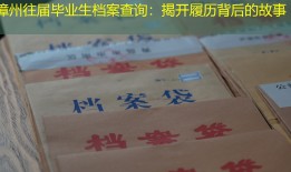 漳州往届毕业生档案查询：揭开履历背后的故事