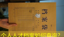 个人人才档案如何查询？