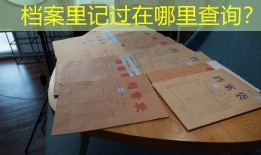 档案里记过在哪里查询？