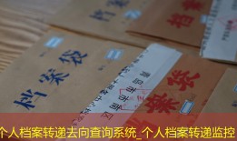 个人档案转递去向查询系统_个人档案转递监控