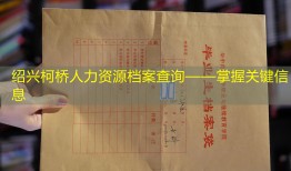 绍兴柯桥人力资源档案查询——掌握关键信息