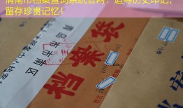 渭南市档案查询系统官网：追寻历史印记，留存珍贵记忆！