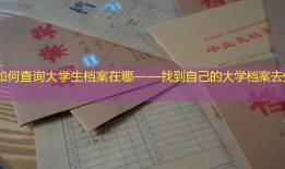 如何查询大学生档案在哪——找到自己的大学档案去处