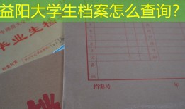 益阳大学生档案怎么查询？