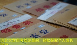 河北大学自考档案查询：轻松获取个人成长记录