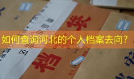 如何查询河北的个人档案去向？