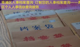 青浦区人事档案查询_订制您的人事档案查询——青浦区个人人事信息查询服务