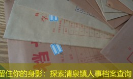 留住你的身影：探索清泉镇人事档案查询