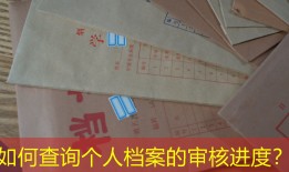 如何查询个人档案的审核进度？