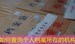如何查询个人档案所在的机构
