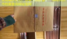 发现城市记忆，探索个人价值——揭秘株洲市档案查询网站官网