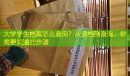 大学学生档案怎么查询？从退档到查询，你需要知道的步骤