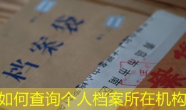 如何查询个人档案所在机构