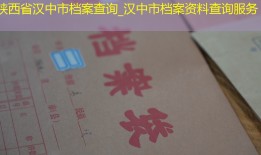 陕西省汉中市档案查询_汉中市档案资料查询服务