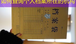 如何查询个人档案所在的机构