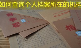 如何查询个人档案所在的机构