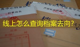 线上怎么查询档案去向？