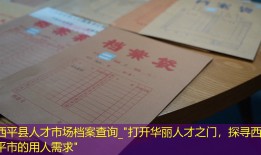 西平县人才市场档案查询_"打开华丽人才之门，探寻西平市的用人需求"